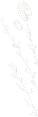 Crissann Thompson and Tyler Frith's Wedding Website