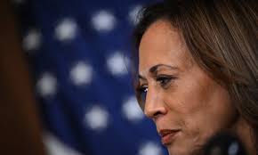 Fox News's interview of Kamala Harris was grievance theater, not political  journalism