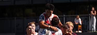 News source: St George-Illawarra Dragons