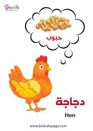 بطاقات تعليم حيوانات المزرعة لرياض الأطفال وحدة حيواناتي المفضلة بالعربي نتعلم in 2021 animals rooster hen