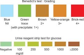 Tests For Detection Of Glucose In Urine