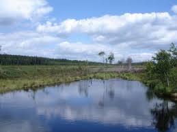 We did not find results for: Durch Das Einsame Hasselbachtal Im Nordsolling Urlaub Im Weserbergland Der Blog Zu Unserem Ferienhaus