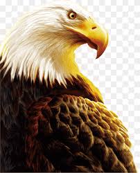 6.000.000.000 sertifikat hak miliklt 583 mlb 400 mkamar utama 1 + km utama,kamar anak 4kamar mandi 21 kt pembantu + kamar mandirumah ini dekat juga dgn wilayah :garuda, sudirman, rajawali, kebonjati, pajajaran,cijerahatau hub : Rajawali Png Pngwing