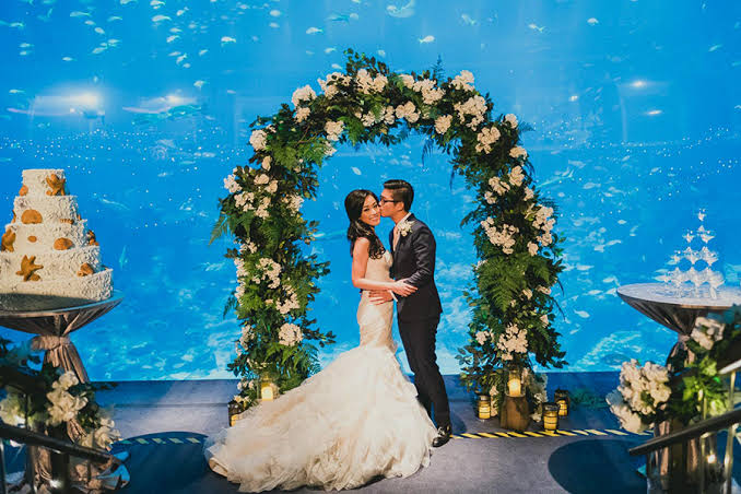 Mga resulta ng larawan para sa underwater world wedding venue"