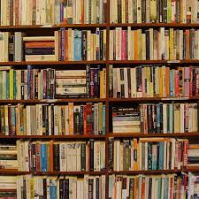 Pin By Brittany Deojay On Books That Are Good And Sometimes Free Bookshelves Book Worms Books