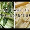 Is this juicy, peppery vegetable as healthy for them as it is for you? 1