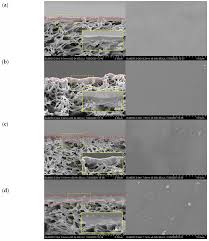 Mega mount industrial gases sdn bhd. Membranes Free Full Text Impacts Of Multilayer Hybrid Coating On Psf Hollow Fiber Membrane For Enhanced Gas Separation Html