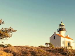 The majority of flowers sold in this country are imported, usually from south america, creating a trail of waste, packaging, and chemicals. 20 Best Instagram Spots In San Diego California Crossroads