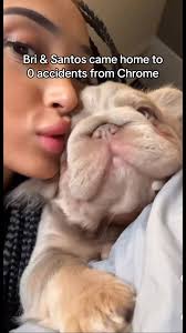 Brianna y Santos Celebran Sin Accidentes en Chrome