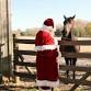 "Open Horse Open Sleigh" Winter Market and Santa..... event in Greenville, NC