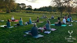 Yoga in the Vineyard