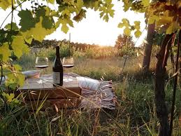 Maybe you would like to learn more about one of these? Estate Sui Colli Bolognesi Tra Cene In Vigna Aperitivi E Degustazioni Bologna Da Vivere Com Magazine
