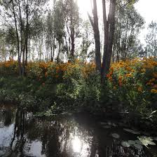 Fly over the famous pyramids of the sun and the. Chinampa Raised Field Agriculture In The Americas