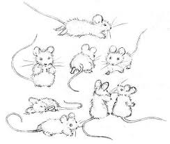 Free Tutorial On How To Draw A Mouse Mouse Illustration Animal Drawings Mouse Drawing