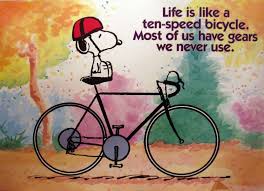 Pin By Connie Thompson On Favorite Sayings Snoopy Quotes Snoopy Snoopy Love