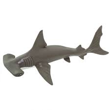 El tiburón martillo es un depredador que utiliza su peculiar cabeza para mejorar su capacidad a la hora de encontrar presas. Tiburon Martillo Bebe Cafam Floresta