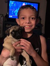 Pancake is mad at me after a bath