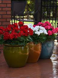These planters are practical accents since they can be transferred from one place to another under the aesthetic or weather changes. Easy Plants To Grow In Pots Hgtv
