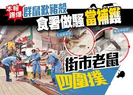 Find this pin and more on 秀茂坪 sau mau ping by 香港昔與今 hk then & now. é£Ÿç½²åšé¨·ç•¶è£œé'Šè¡—å¸‚è€é¼ å››åœæ'² å³æ™‚æ–°èž æ¸¯æ¾³ On Ccæ±ç¶²