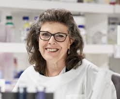 Previous Cancer Research winners