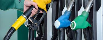 Image result for benzine logo marche simboli gasoli 1981 2021