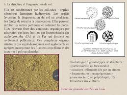Carbone du sol oxydable par permanganate (poxc, « carbone actif ») 3.5 phosphore assimilable du sol (méthode olsen) 3.6 test de l'azote des suces aminés pour déterminer l'azote du sol disponible 3.7. Td Pedologie Deug Ii C Corona Ppt Telecharger