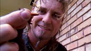Billy the Exterminator (TV Series 2009– )