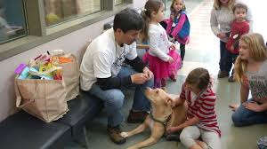 You can enter your credit card info on paypal. Contra Costa Animal Services Kicks Off 5 Pet Adoptions Abc7 San Francisco