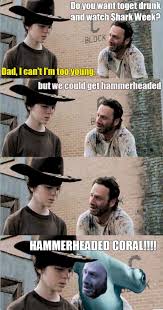 Imgur Com Walking Dead Memes The Walking Dead Walking Dead Funny