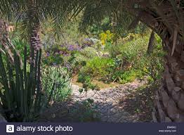 Im letzten jahr hatte ich am zaun vom gärtchen ein. Der Botanische Garten Jardi Botanic In Soller Mallorca Spanien Mit Bergen Im Hintergrund Stockfotografie Alamy