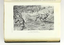 Savage Sudan by CHAPMAN, Abel