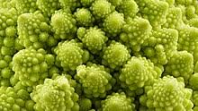 Free hq photos about romanesco. Romanesco Broccoli Wikipedia