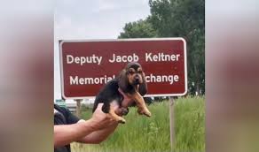 New sheriff's canine in DuPage County named Jake in honor of slain McHenry  County sheriff's deputy