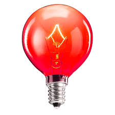 Thrill Of The Grill Scentsy Warmer Bundle Light Bulb Bulb Watt Light