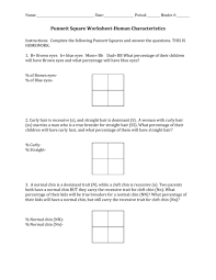 Using the punnett square in question #1: Punnett Square Worksheet Human Characteristics Answers Decline Iworksheet Co