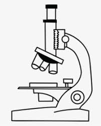 Draw microscope step by step.thank you watching the video. Stomach Drawing Label Stomach Diagram No Labels Hd Png Download Kindpng