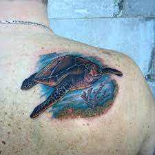 150 Alluring Turtle Tattoo Designs And Meanings Awesome Check More At Http Fabulousdesign Ne Turtle Tattoo Designs Turtle Tattoo Tattoo Designs And Meanings