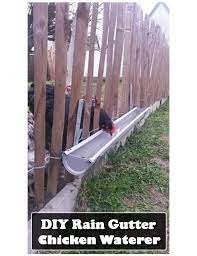 Diy Rain Gutter Chicken Waterer Chicken Waterer Chicken Diy Urban Chicken Farming