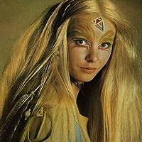 The Portrait by Megan Chance