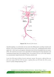 In biology, the nervous system is a highly complex part of an animal that coordinates its actions and sensory information by transmitting signals to and from different parts of its body. Diagram 2 I Structure Of The Neuron Generally Speaking We Can