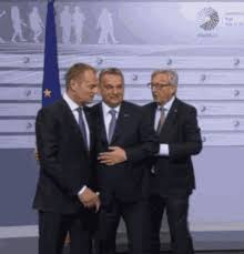 The current leader of the national liberal party (pnl). Orban Gifs Tenor