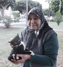 Hatay Da 4 Bacagi Kesilmis Olu Kedi Bulundu