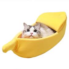 Every cat requires a spot to sleep that's not actually their designated bed, such as a shoe box, a large vase, or a cupboard. Banana Bed For Cats And Small Dogs Shopee Philippines
