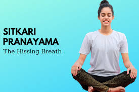 Bhastrika pranayam, kapal bhati pranayam, bahaya pranayam, anulom vilom pranayama, bhramri pranayam, udgeeth pranayam, and pranab dwani. Sitkari Pranayama Hissing Breath Steps Benefits Precautions Fitsri