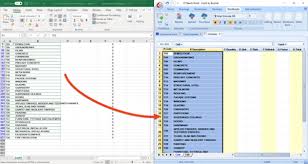 Enter the value 41 into note: Time Saving Tips For Costx Importing A Bill Of Quantities From Excel Rib International