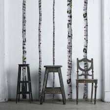 Real Birch Tree Wall Art Wallsneedlove Super Real Birch Trees Decal Birch Tree Wall Decal Birch Tree Decal Tree Wall Decal