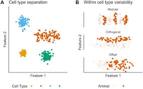 Check spelling or type a new query. Inter And Intra Animal Variation Of Integrative Properties Of Stellate Cells In The Medial Entorhinal Cortex Biorxiv