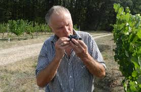 Chateau Deves Producteur Haute Garonne