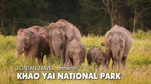 The bath tub right in the middle of the room is unique. Khao Yai National Park Tours By Tontan Travel Youtube