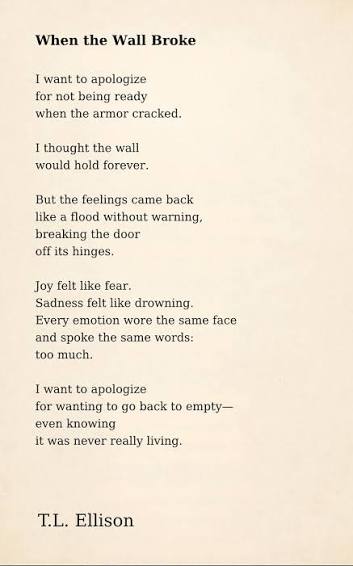 T.L. Ellison's poem 'When the Wall Broke' from 'Where the Darkness Waits for Me'